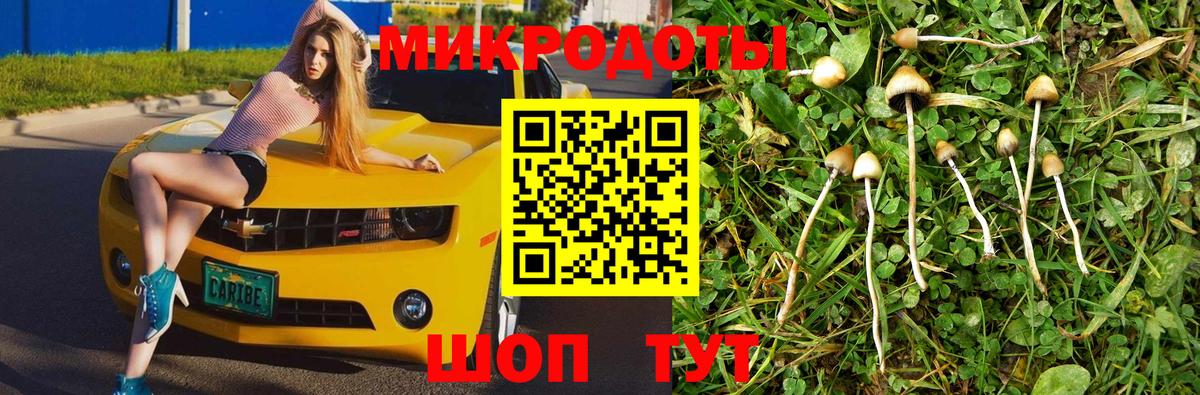 Ярославль  купить закладку  Псилоцибиновые грибы прущие грибы  Вход с VPN  Псилоцибиновые грибы мухоморы 