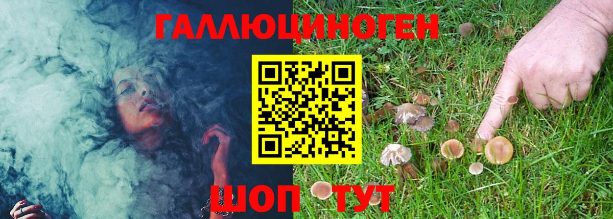 Псилоцибиновые грибы Magic Shrooms Ярославль